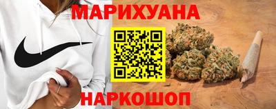 гидра Камышлов