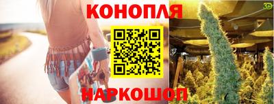 гидра Камышлов