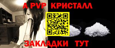 гидра Камышлов
